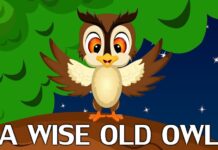 A Wise Old Owl Lyrics | Nursery Rhymes for Kids
