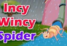 Incy Wincy Spider Lyrics in English – इन्सी विन्सी स्पाइडर लिरिक्स Incy Wincy Spider Lyrics